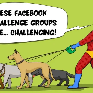 A comic book superhero walks four dogs on leads, with a speech bubble containing the words 'These Facebook Challenge Groups are...challenging!'
