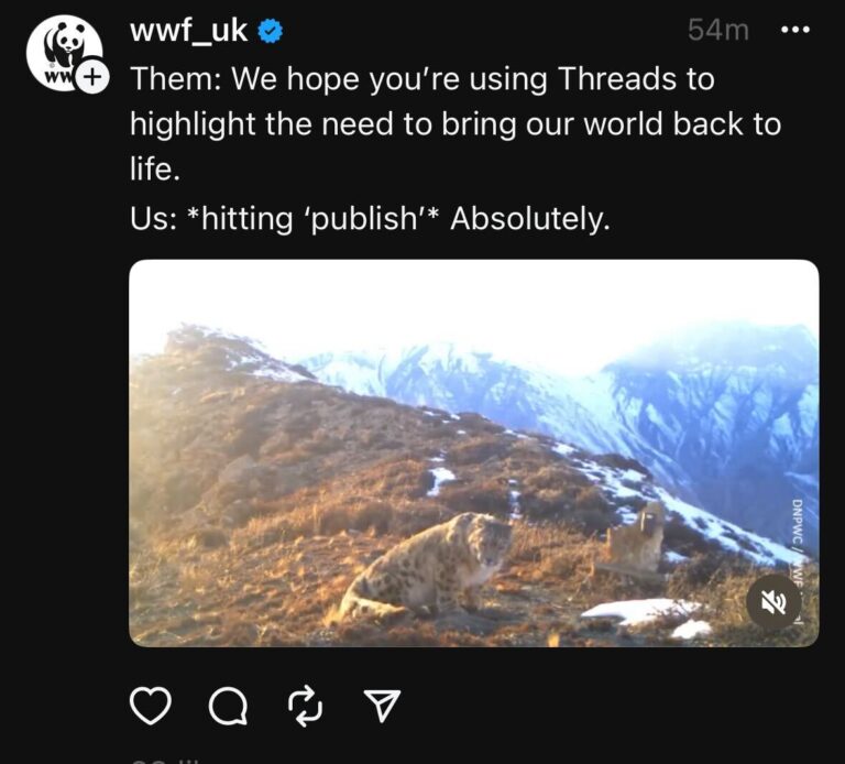 WWF UK on threads