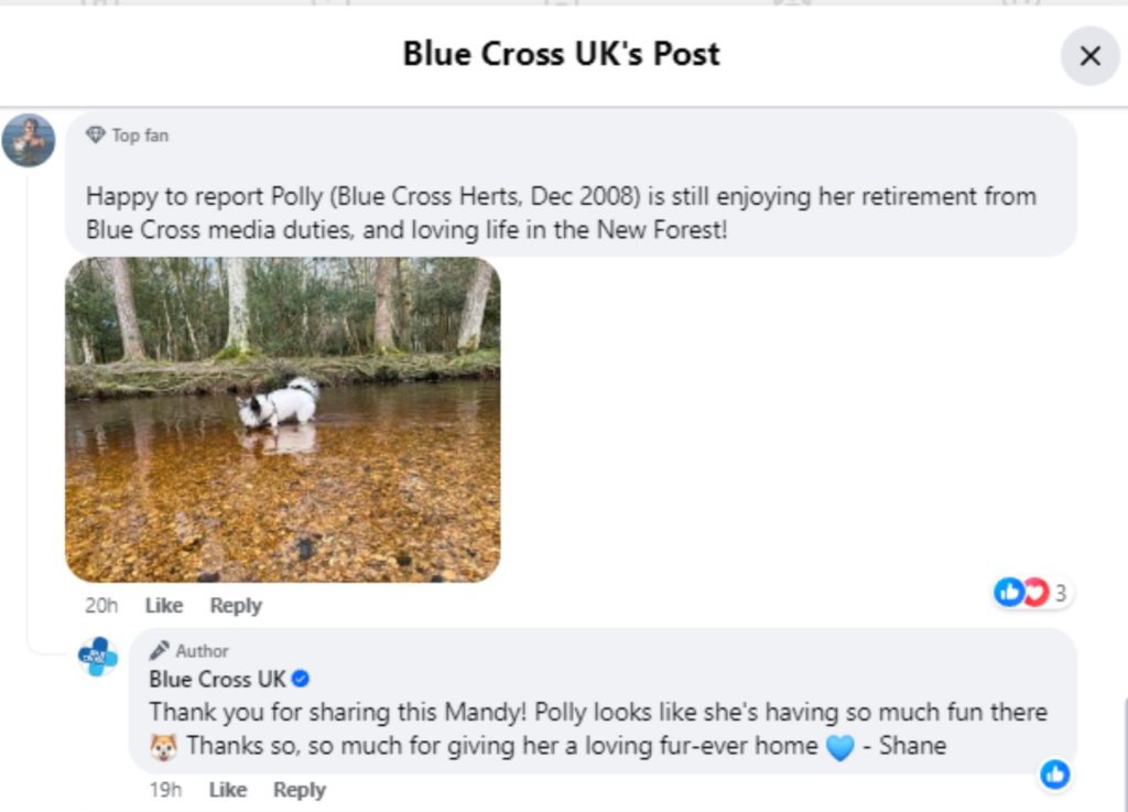 a screenshot of Blue Cross Facebook page showing a great example of engagement